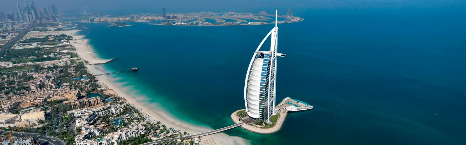 10 Weirdest Foods You Can Try in Dubai